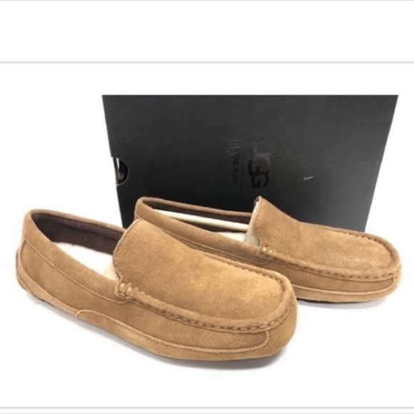 Nib Ugg Alder men’s driving shoes chestnut - Picture 2 of 5